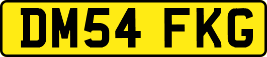 DM54FKG