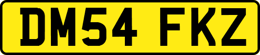 DM54FKZ