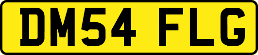 DM54FLG