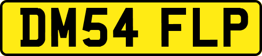 DM54FLP
