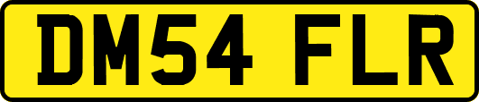 DM54FLR