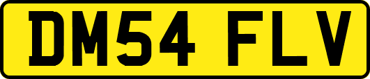 DM54FLV