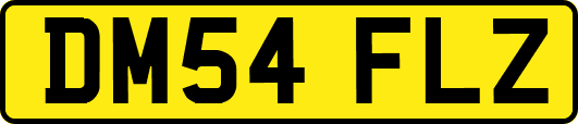 DM54FLZ