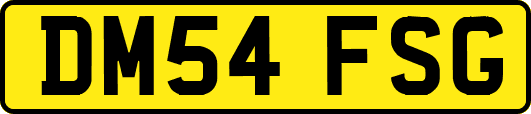 DM54FSG