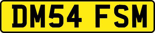 DM54FSM