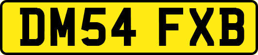 DM54FXB
