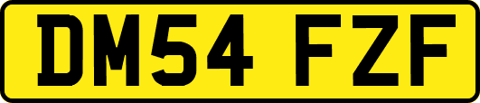 DM54FZF
