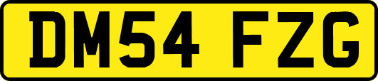 DM54FZG