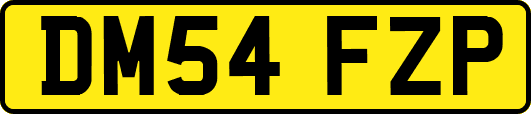DM54FZP