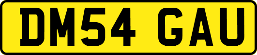 DM54GAU