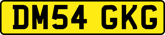 DM54GKG