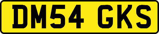 DM54GKS