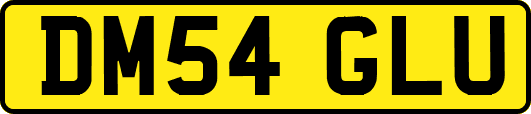 DM54GLU