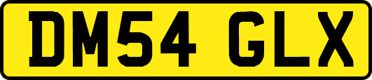 DM54GLX