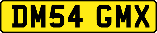 DM54GMX