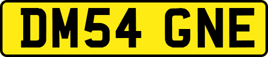 DM54GNE