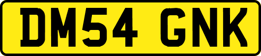 DM54GNK