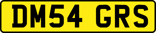 DM54GRS