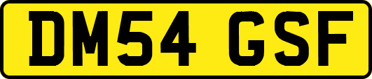 DM54GSF