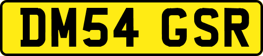 DM54GSR