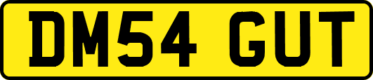 DM54GUT
