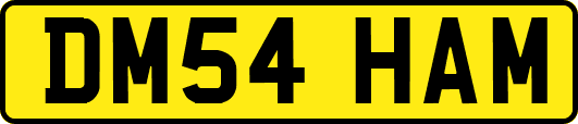 DM54HAM