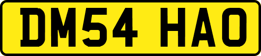 DM54HAO