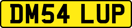 DM54LUP