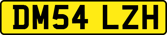 DM54LZH