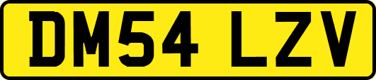 DM54LZV