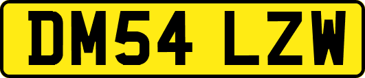 DM54LZW