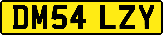 DM54LZY
