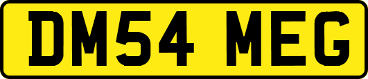 DM54MEG