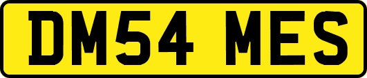 DM54MES