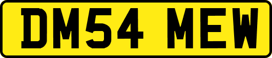 DM54MEW