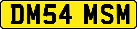 DM54MSM