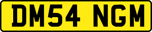 DM54NGM