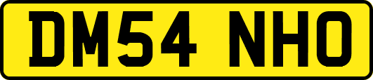 DM54NHO