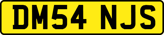 DM54NJS