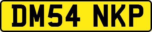 DM54NKP