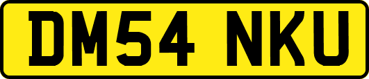 DM54NKU
