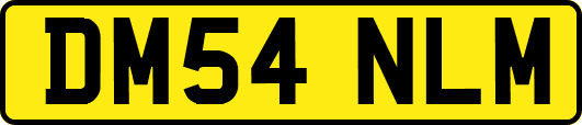 DM54NLM