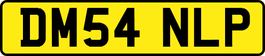 DM54NLP