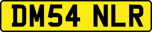 DM54NLR