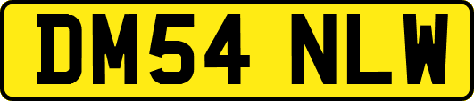 DM54NLW