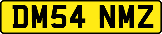 DM54NMZ