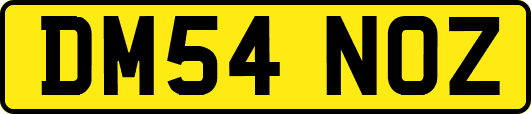 DM54NOZ