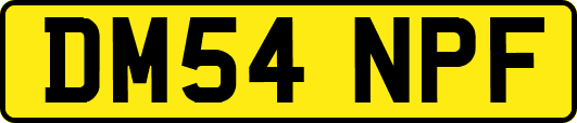 DM54NPF