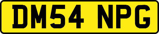 DM54NPG