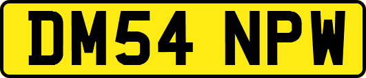 DM54NPW